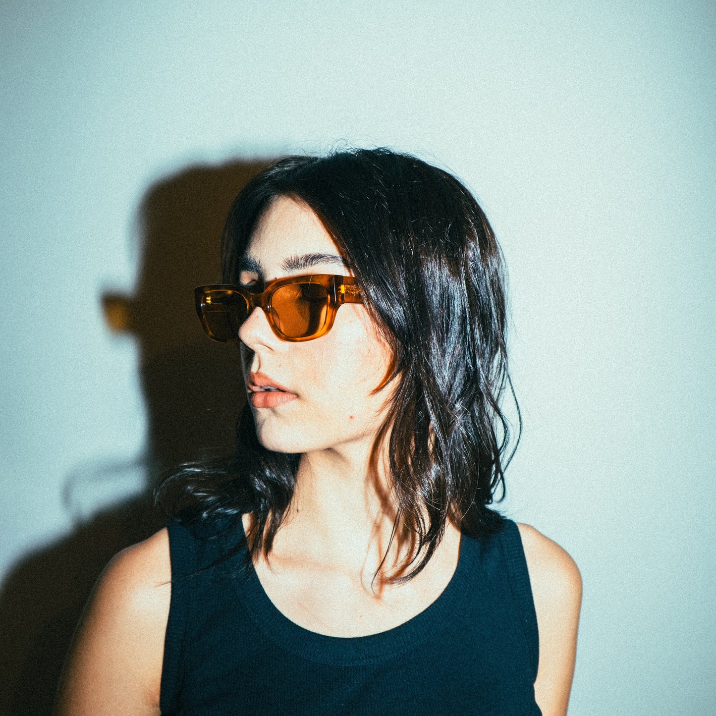 ARCADE - BLONDE TORT / Honey Polarised Lens