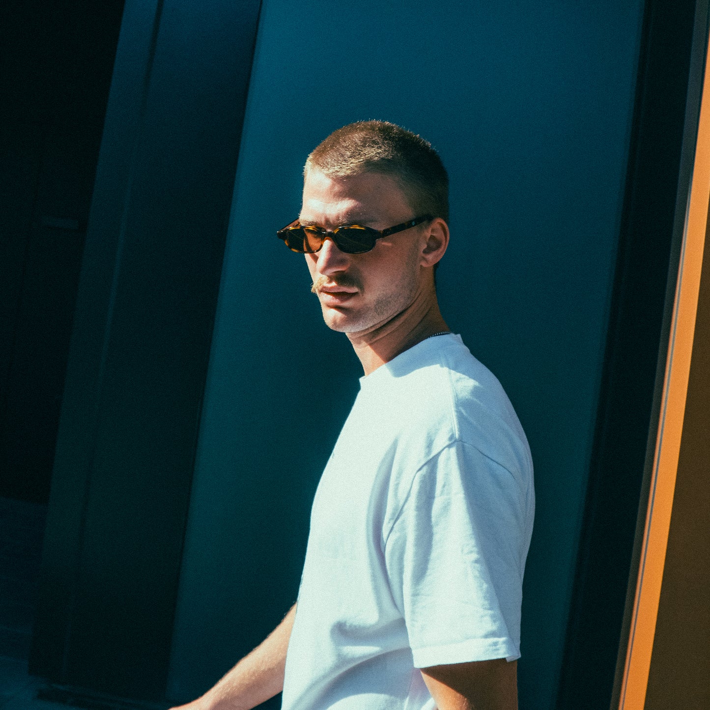 LENNIE - BROWN TORT / POLARISED MAPLE LENS