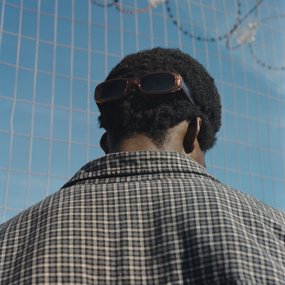 ZANE - DUNE /  POLARISED GRADIENT LENS
