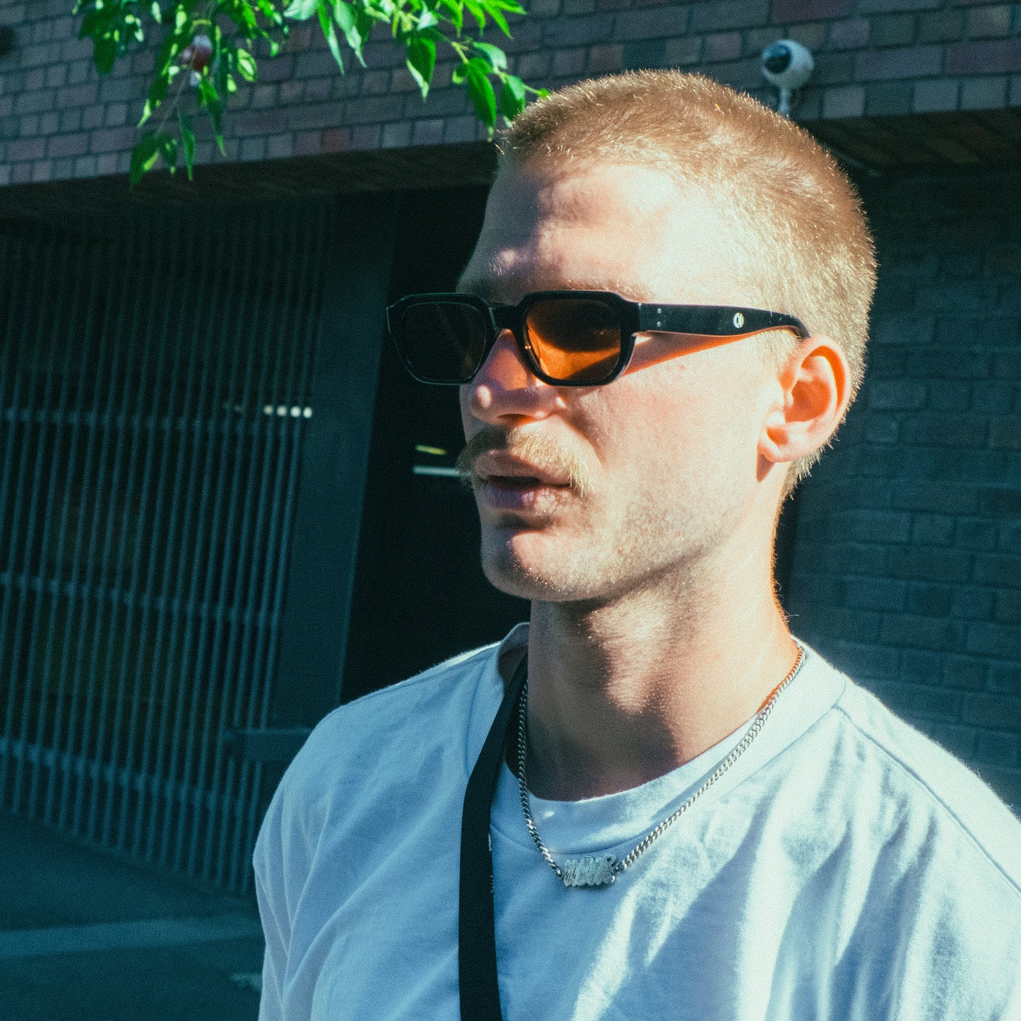DALLAS - BLACK /  POLARISED MAPLE LENS